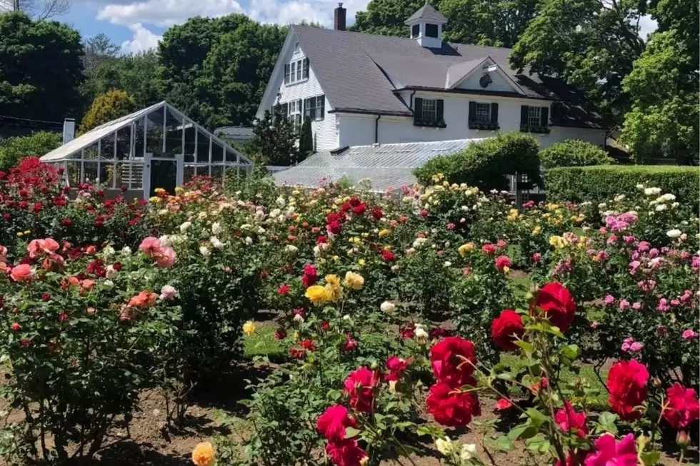 Credit: Fuller Gardens via Facebook