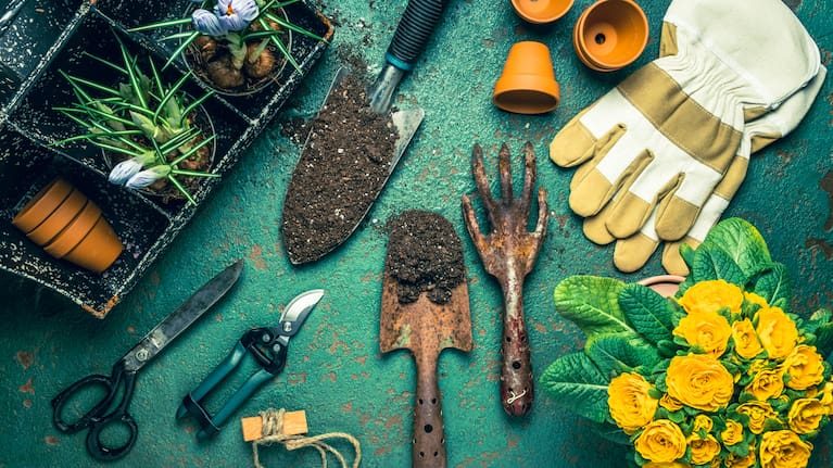Gardening tools (file image).