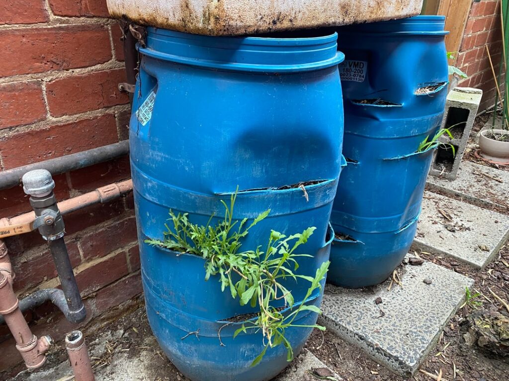 Should I start over with these planters?
