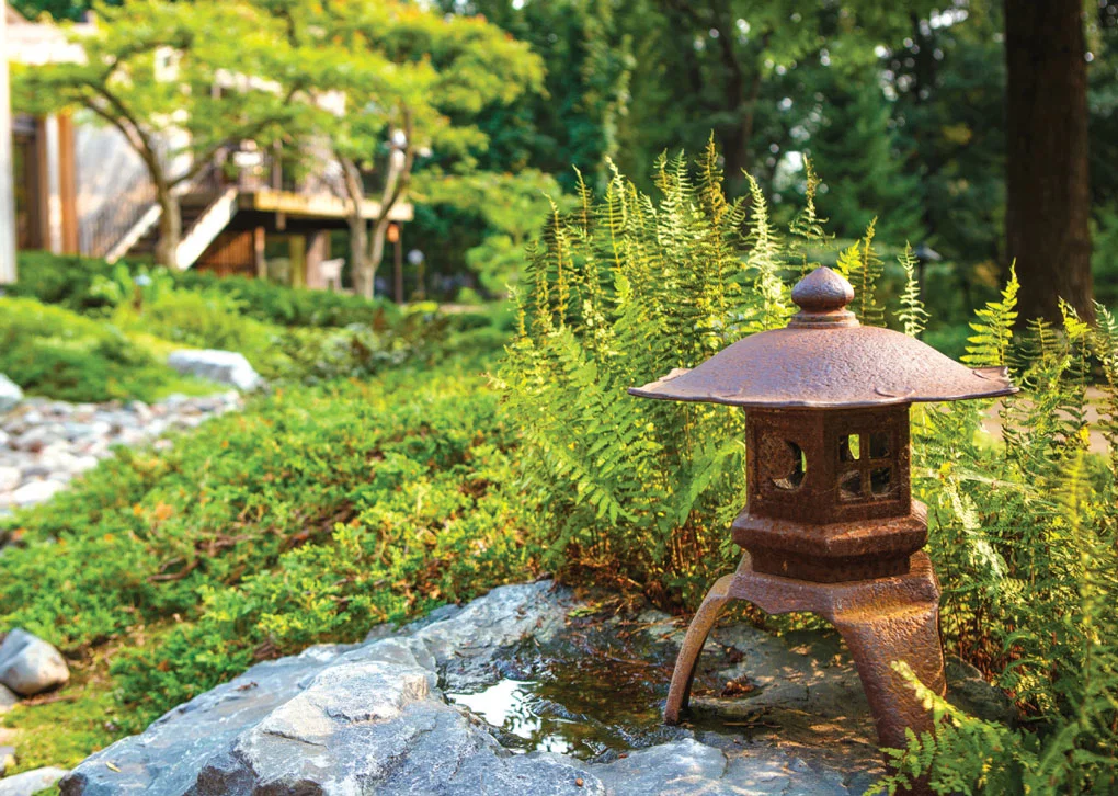 Japanese Lantern