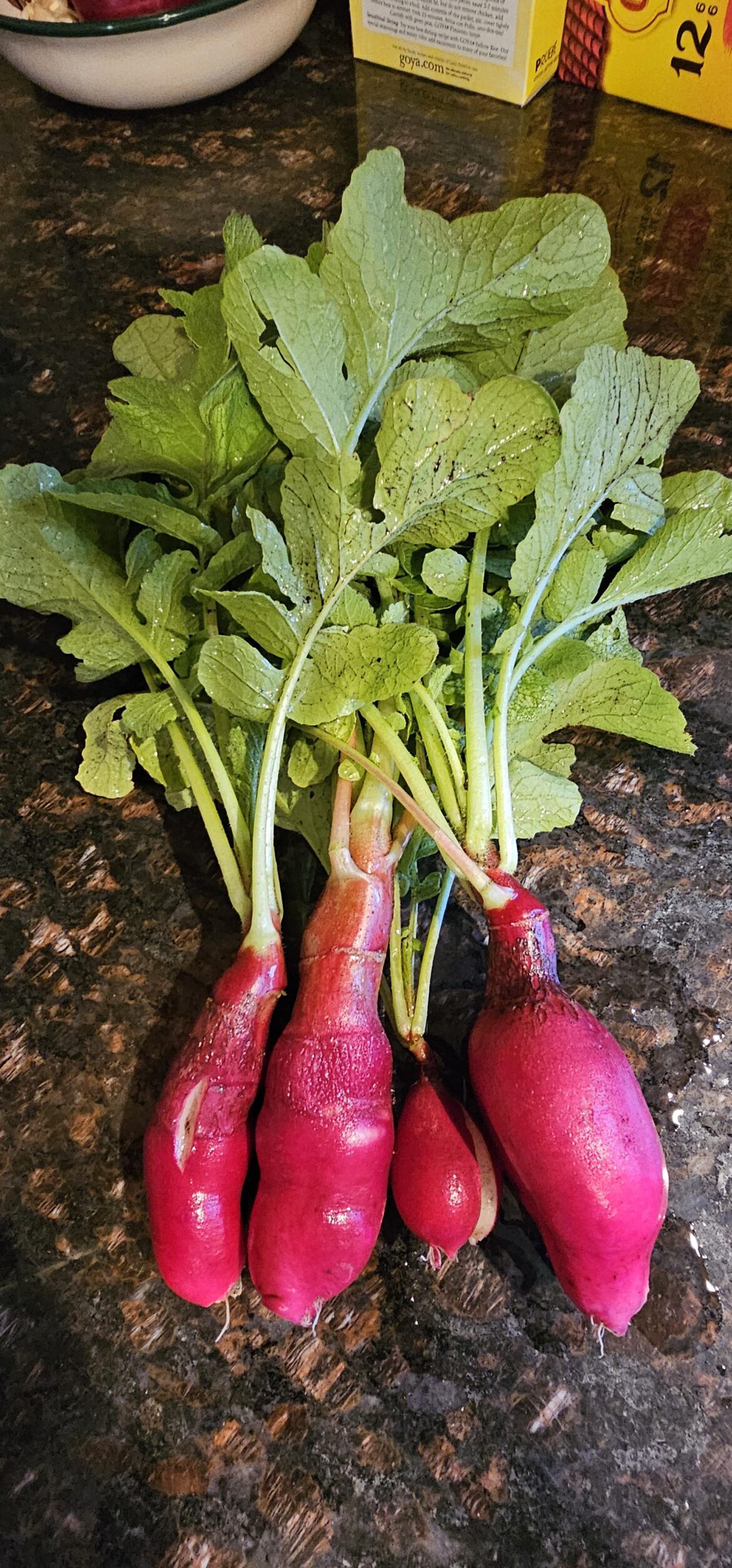 First time radishes